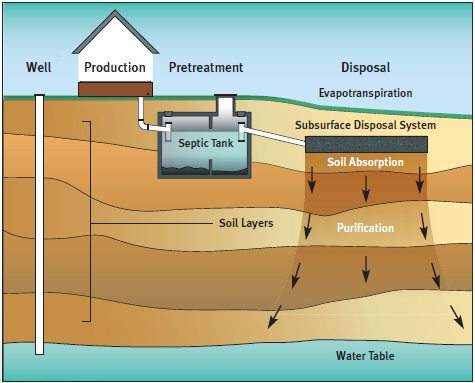 Septic System Diagram