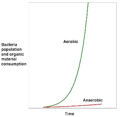 bacteria-growth