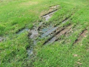 Fail septic system flooding yard