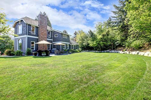 Landscaping around a septic tank