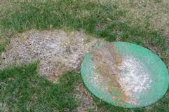 Common Septic Tank Problems