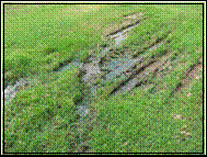 image012