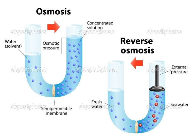 Reverse Osmosis Process