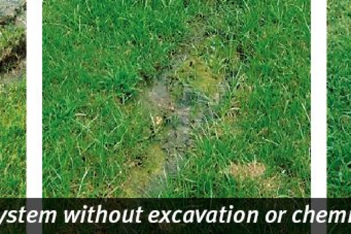 AS-web-banners-beforeafter-800x2271